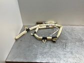 Roof airbag