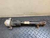 Rear shock absorber/damper