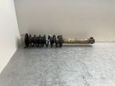 Rear shock absorber with coil spring