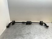 Aktiver Stabilisator hinten