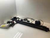 Tailgate hydraulic set