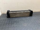 Intercooler radiator