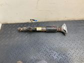 Rear shock absorber/damper