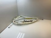 Roof airbag