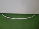Front bumper support beam