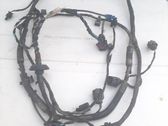 Other wiring loom