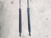 Tailgate/trunk strut/damper
