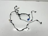 Front door wiring loom