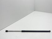 Tailgate/trunk strut/damper