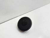 Front door high frequency speaker