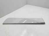 Rear door trim (molding)