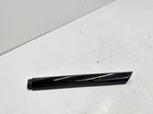 Front door trim (molding)