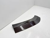 Fender trim (molding)