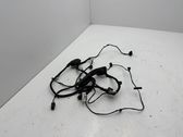 Other wiring loom