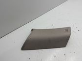 (C) pillar trim
