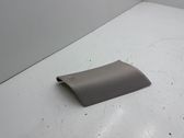 (C) pillar trim