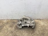 Rear wheel hub