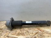 Rear shock absorber/damper