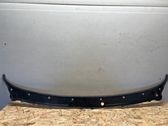 Wiper trim