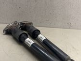 Rear shock absorber/damper