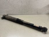 Rear shock absorber/damper