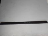 Listón embellecedor de la puerta delantera (moldura)