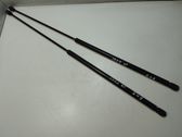 Front bonnet/hood damper/strut