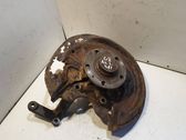 Rear wheel hub