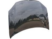 Engine bonnet/hood