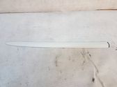 Roof trim bar molding cover