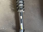 Front shock absorber/damper