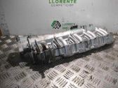 Colector de admisión