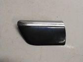 Fender trim (molding)
