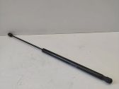 Tailgate/trunk strut/damper