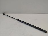 Tailgate/trunk strut/damper