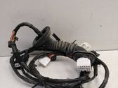 Cableado de puerta trasera