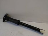 Rear shock absorber/damper