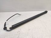 Tailgate/trunk strut/damper