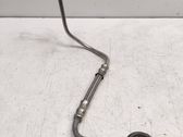 Turbo turbocharger oiling pipe/hose