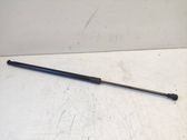 Tailgate/trunk strut/damper