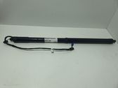 Tailgate/trunk strut/damper