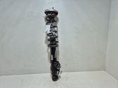 Rear shock absorber/damper