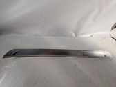 Front sill trim cover