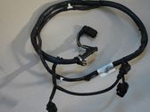 Other wiring loom