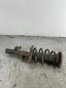 Front shock absorber with coil spring