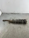 Front shock absorber with coil spring