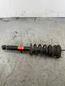 Front shock absorber with coil spring