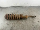 Front shock absorber with coil spring