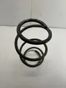 Front coil spring