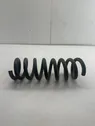 Rear coil spring